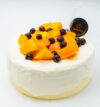attachment-https://bakeregg.com/wp-content/uploads/2026/05/mango_bubble_P1-100x107.jpg